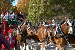TONY LARUSSA  #SBB119