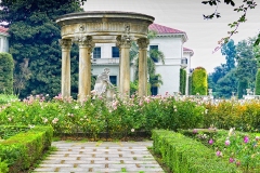 THE HUNTINGTON LIBRARY ROSE GARDEN  #ACA112