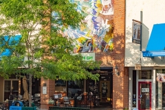 DOWNTOWN HENDERSONVILLE SEVEN  #ANC109