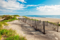 SAND DUNES  #LOB119